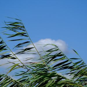 wei xin tu pian